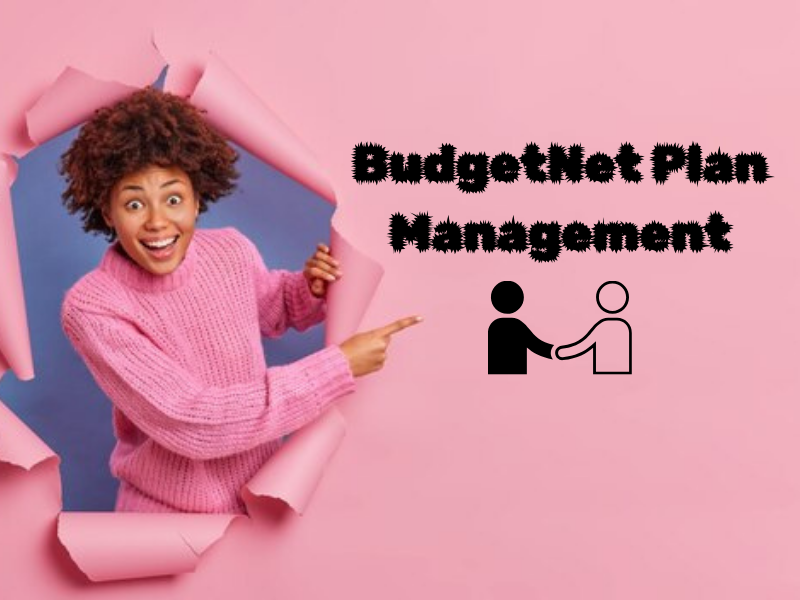 BudgetNet Plan Management – Smart Financial Support with Simplicity
